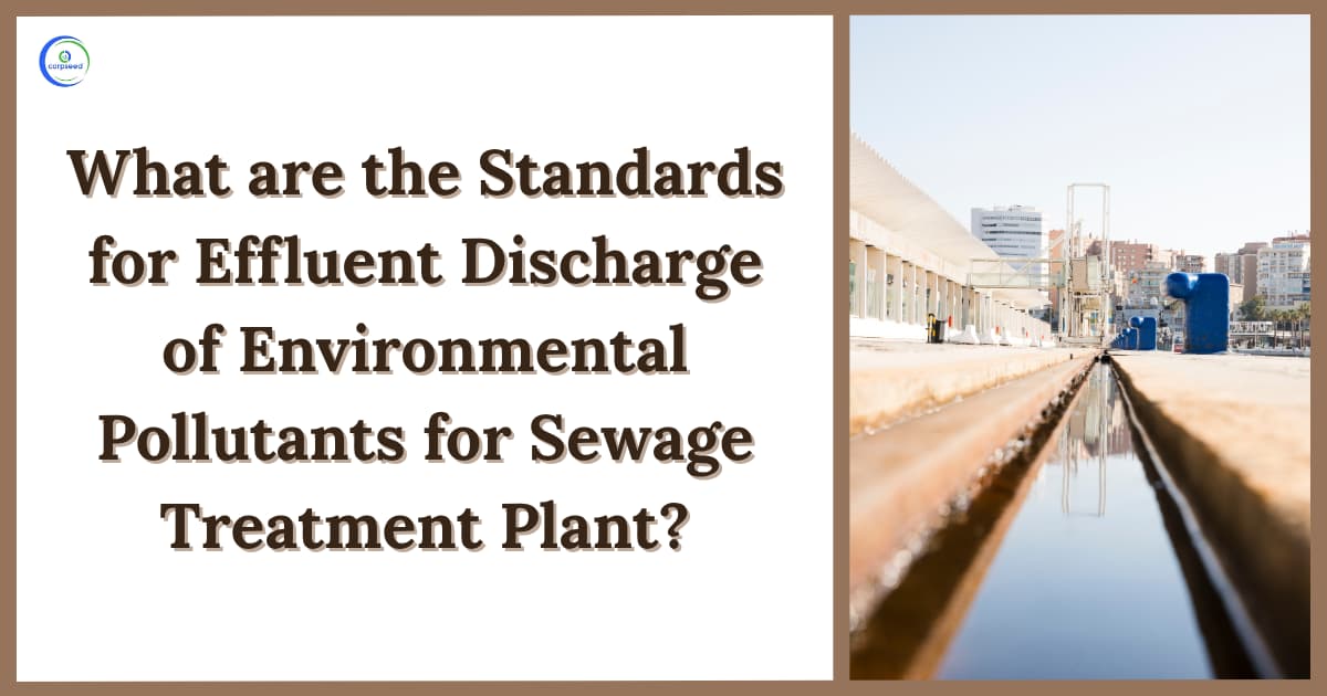 What are the Standards for Effluent Discharge of Environmental Pollutants for Sewage Treatment Plant?