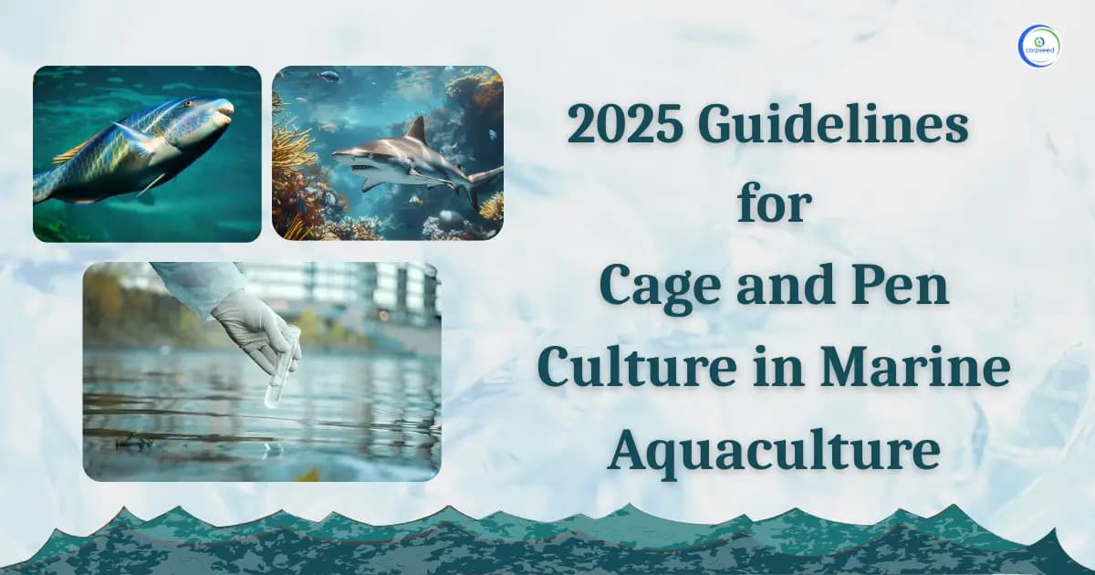 2025 Guidelines for Cage and Pen Culture in Marine Aquaculture