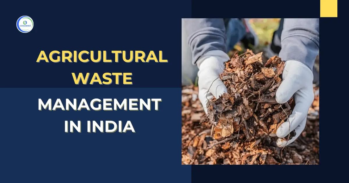 Agricultural Waste Management in India