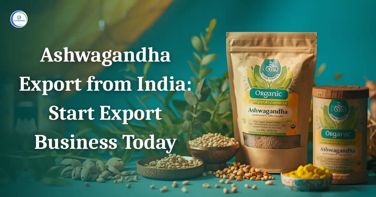Ashwagandha Export from India: Start Export Business Today