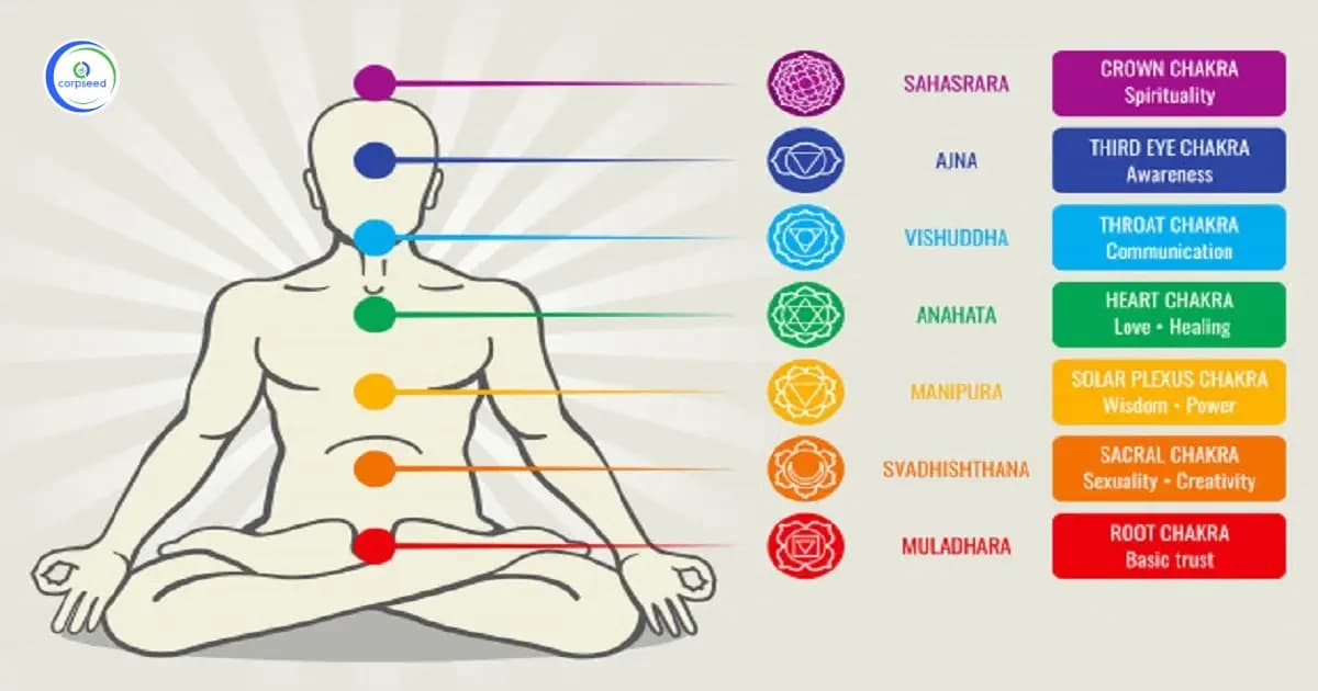 How To Start Ayurvedic Medicine Manufacturing Unit In India