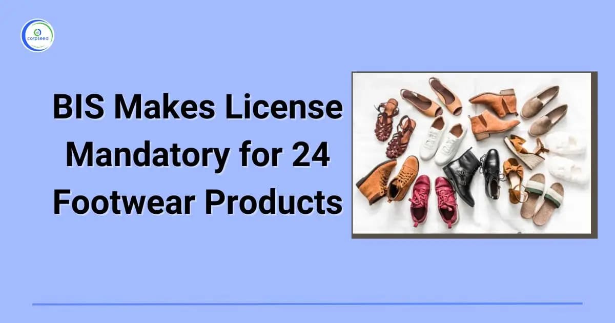 BIS Makes License Mandatory for 24 Footwear Products