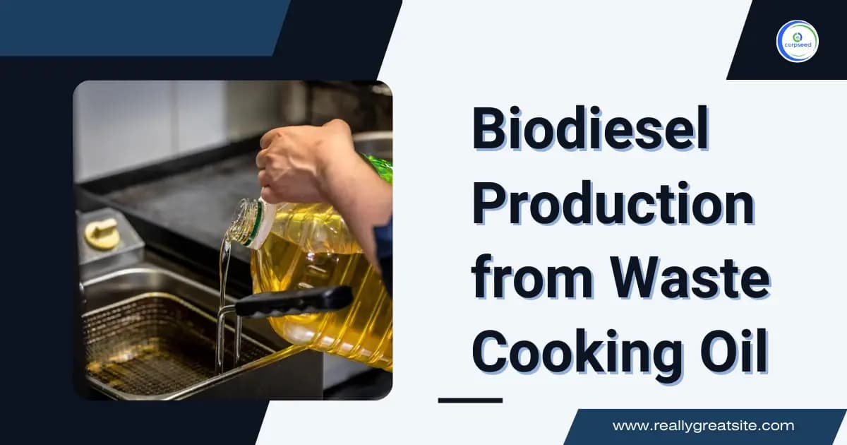 Biodiesel Production from Waste Cooking Oil