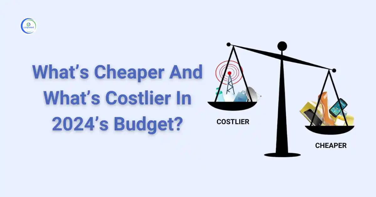 Whatโs Cheaper And Whatโs Costlier In 2024โs Budget?