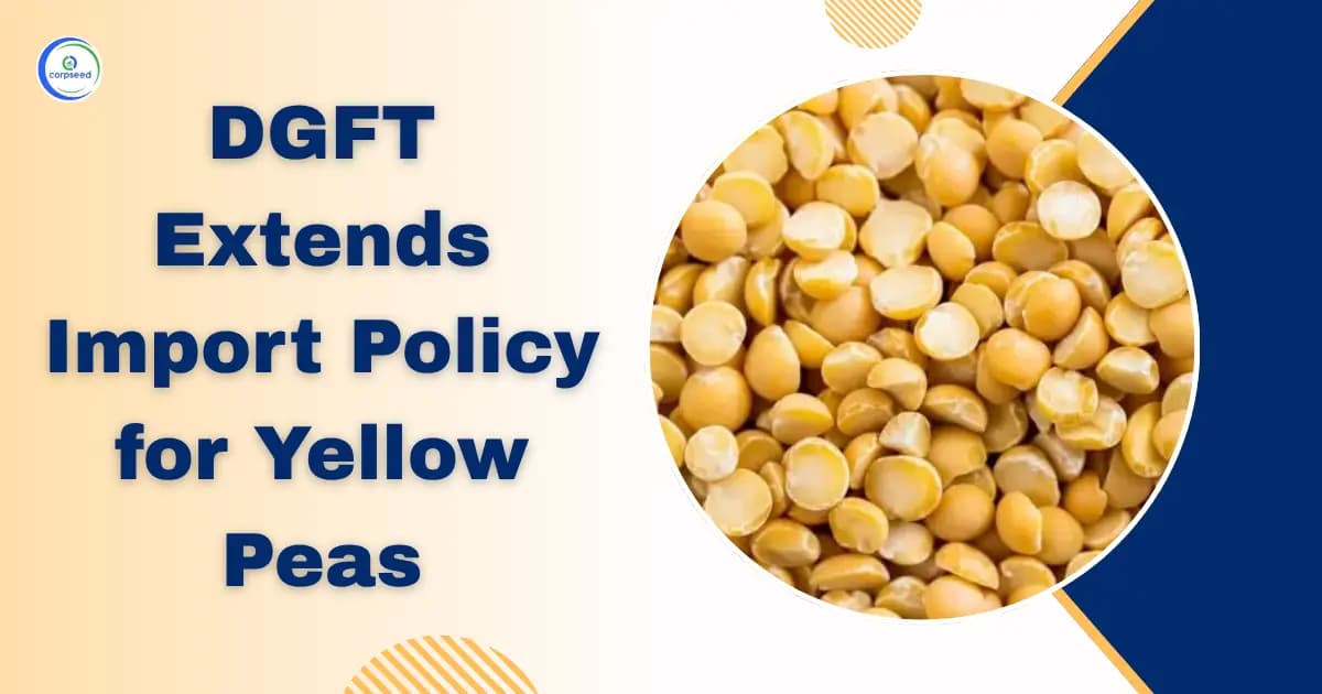 DGFT Extends Import Policy for Yellow Peas
