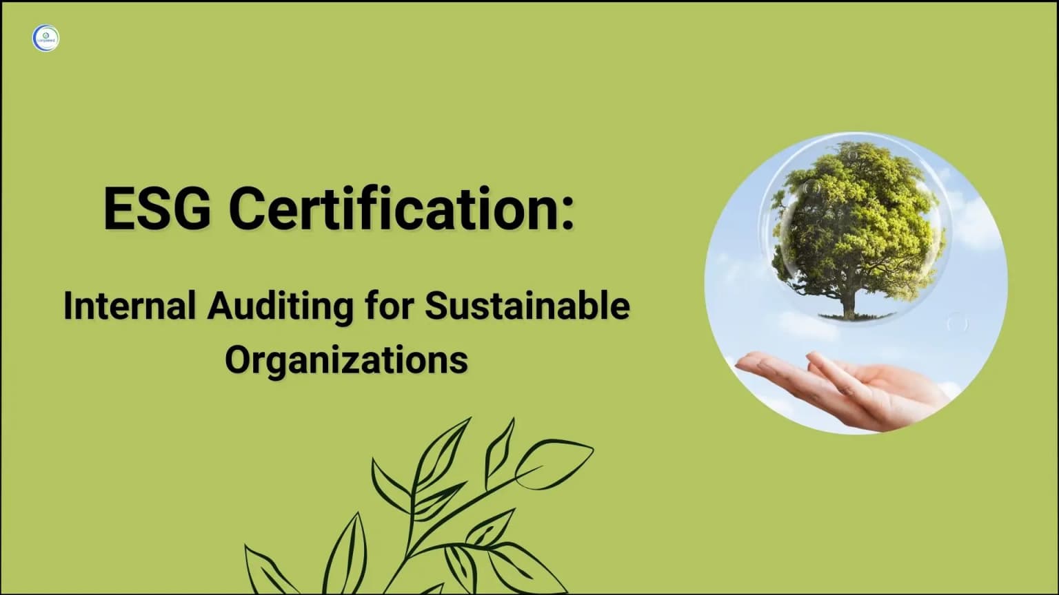ESG Certification: Internal Auditing for Sustainable Organizations
