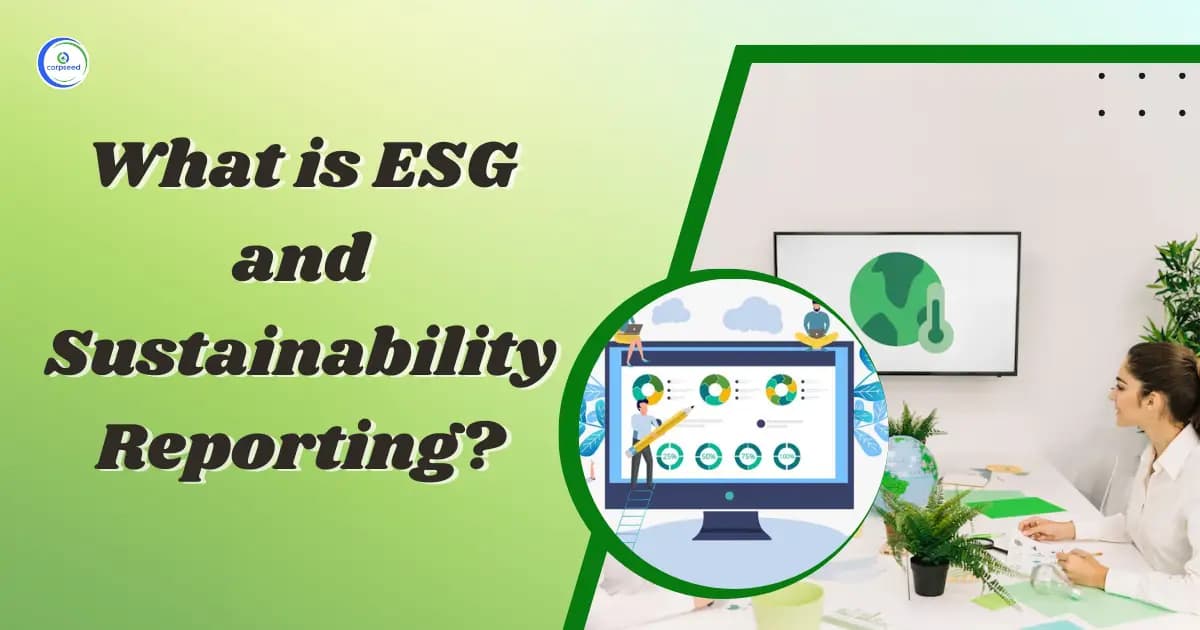 What is ESG and Sustainability Reporting?