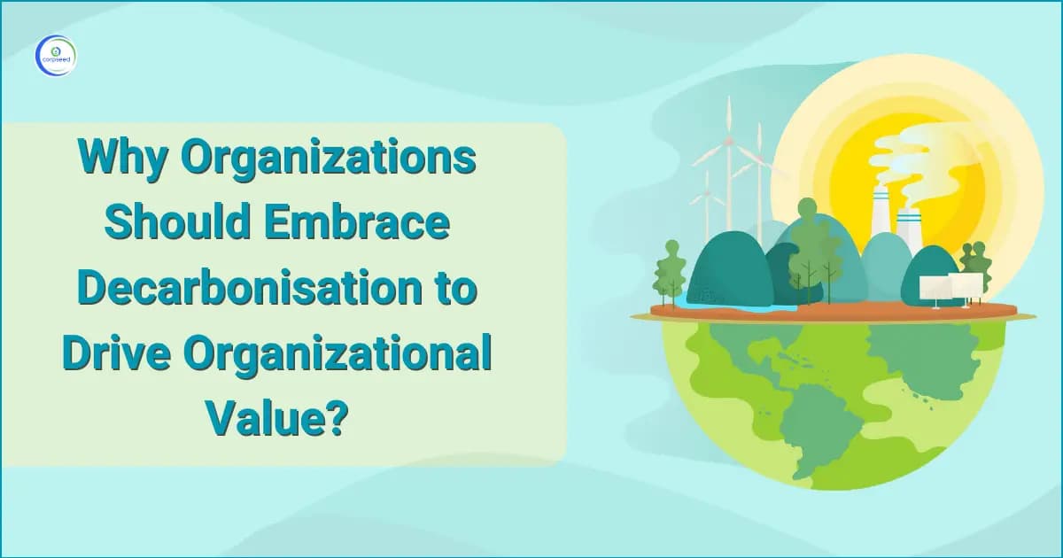 Why Organizations Should Embrace Decarbonisation to Drive Organizational Value?