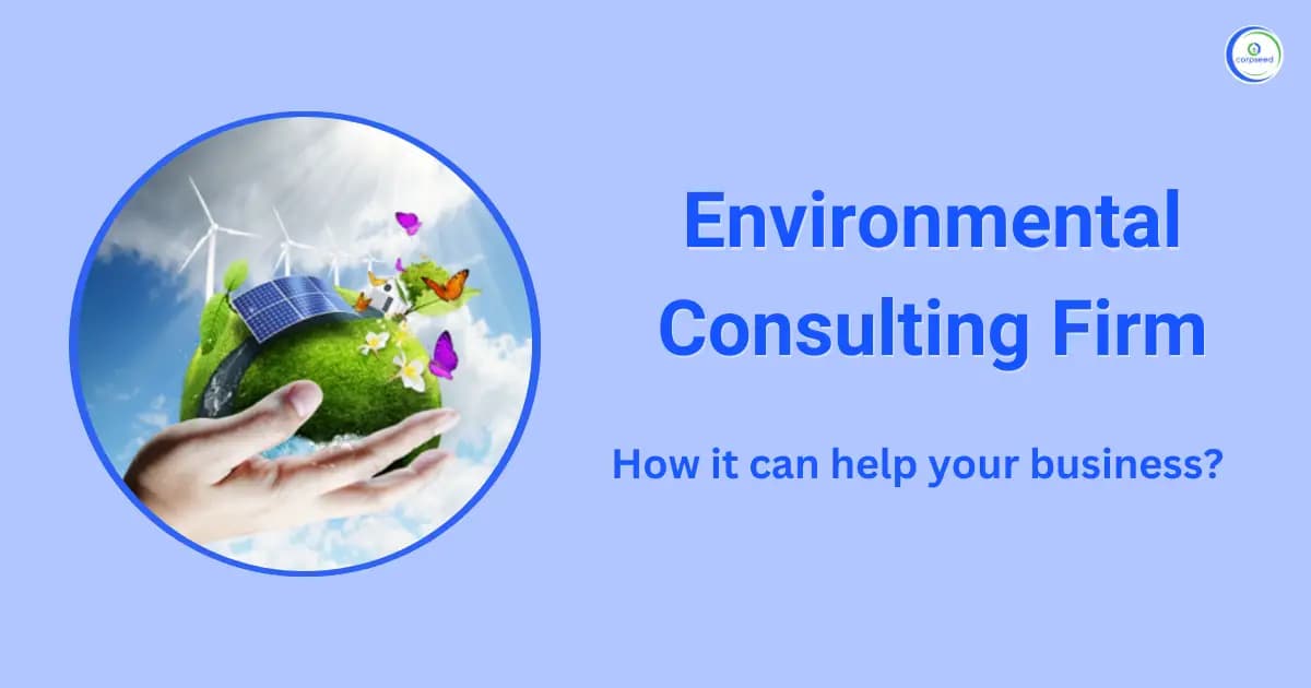 Environmental Consulting Firm - How It Can Help Your Business?