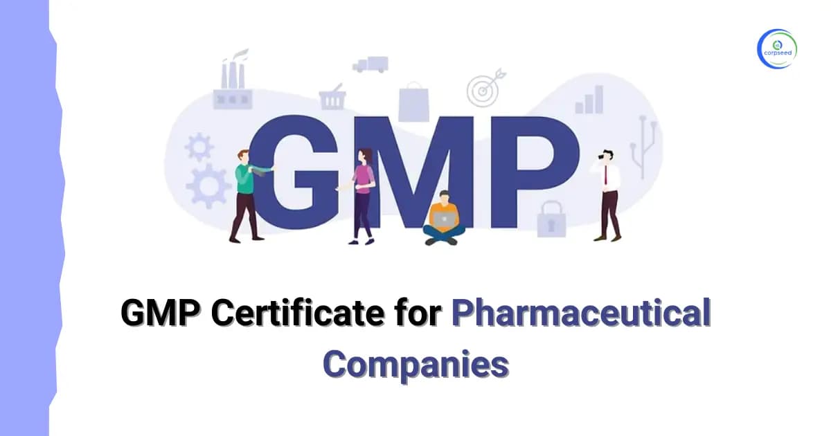 GMP Certificate for Pharmaceutical Companies