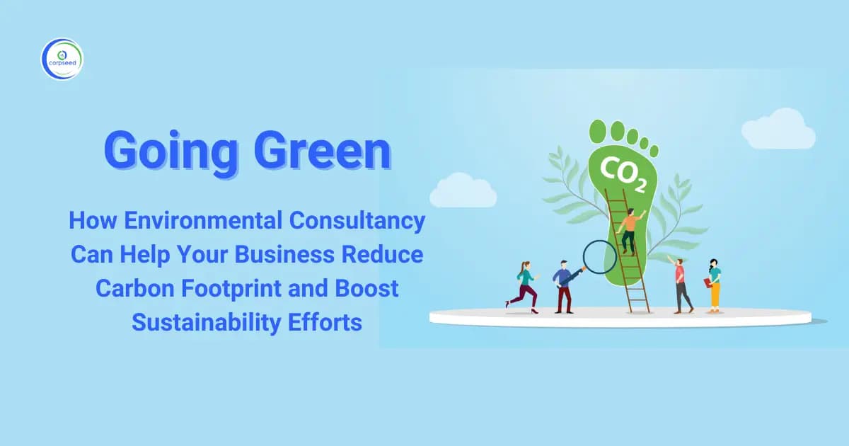 How Environmental Consultancy Can Help Your Business Reduce Carbon Footprint