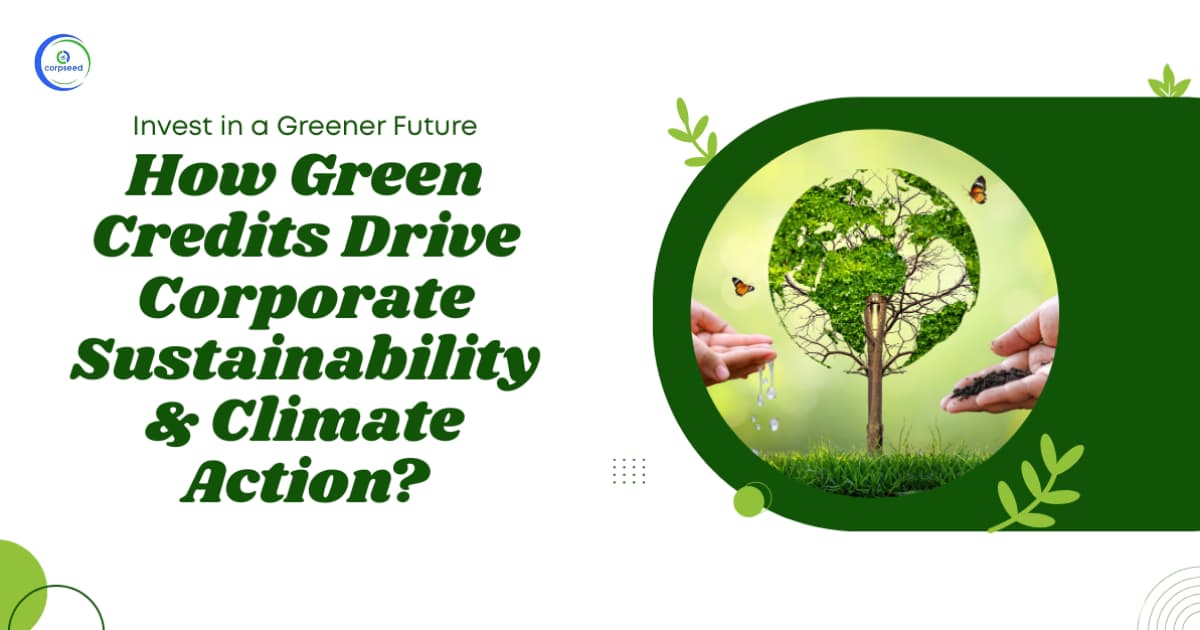 Invest in a Greener Future: How Green Credits Drive Corporate Sustainability & Climate Action?