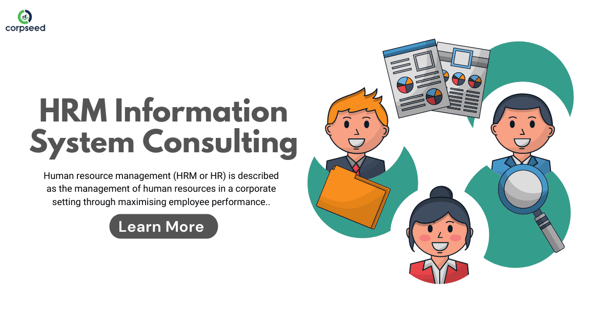 HRM Information System Consulting
