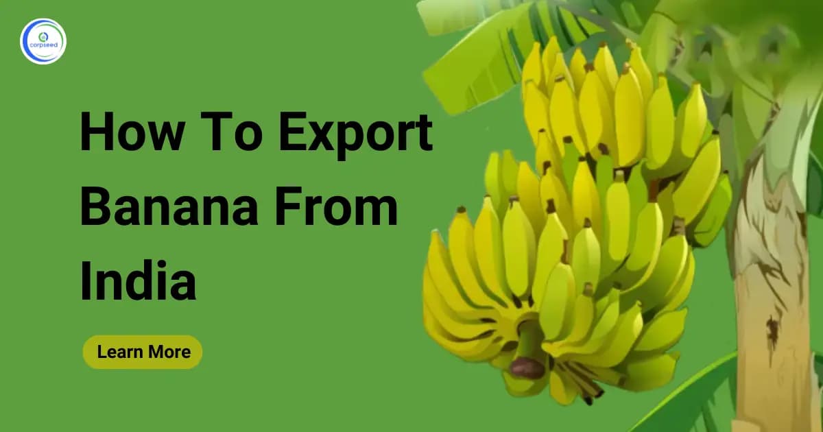 How To Export Banana From India