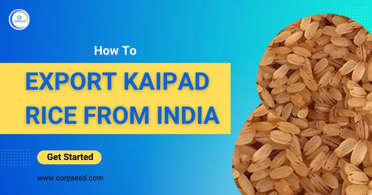 How To Export Kaipad Rice From India