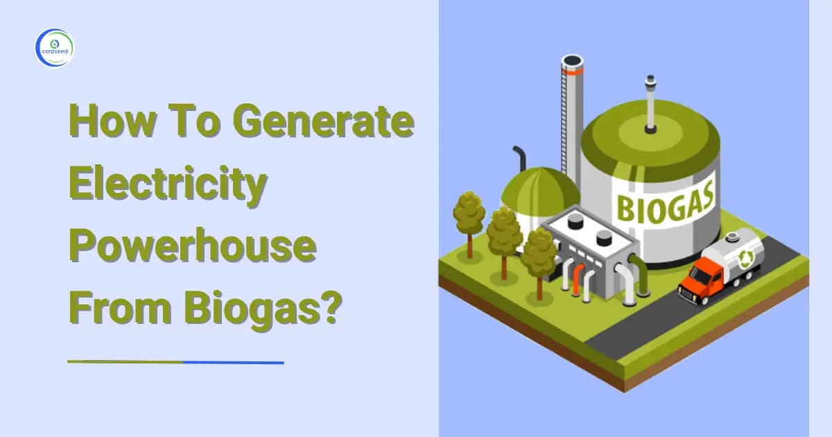 How To Generate Electricity Powerhouse From Biogas?