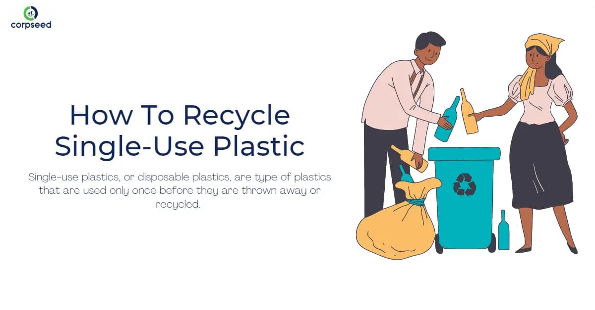 How To Recycle Single-Use Plastic