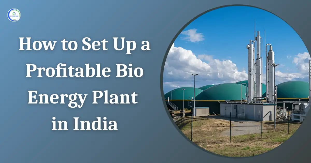 How to Set Up a Profitable Bio Energy Plant in India