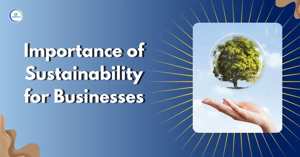 Importance of Sustainability for Businesses