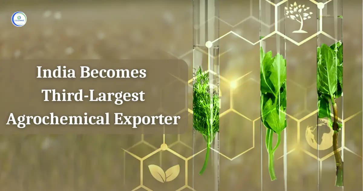 India Becomes Third-Largest Agrochemical Exporter
