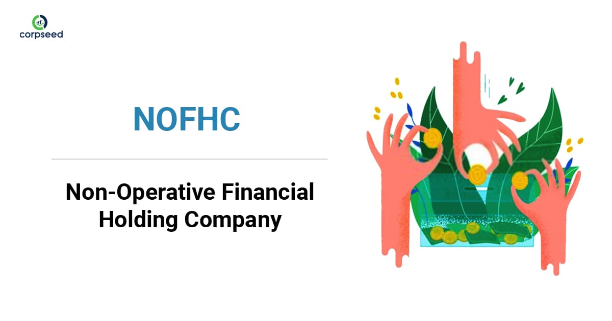Non-Operative Financial Holding Company (NOFHC) โ Concept and Idea to Excel!!