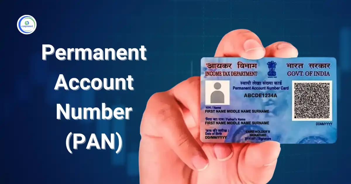 What is Permanent Account Number (PAN)?