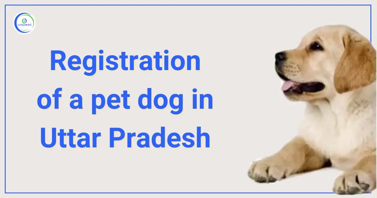 Registration of a pet dog in Uttar Pradesh