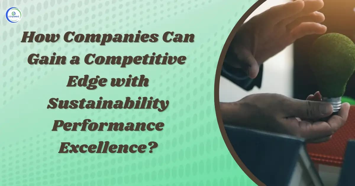 How Companies Can Gain a Competitive Edge with Sustainability Performance Excellence?