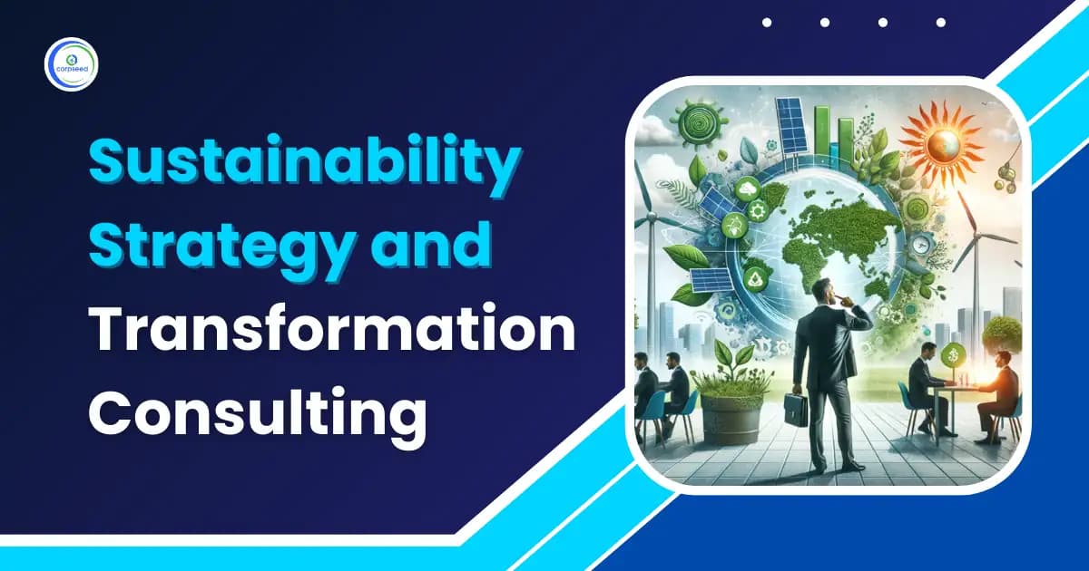 Sustainability Strategy and Transformation Consulting