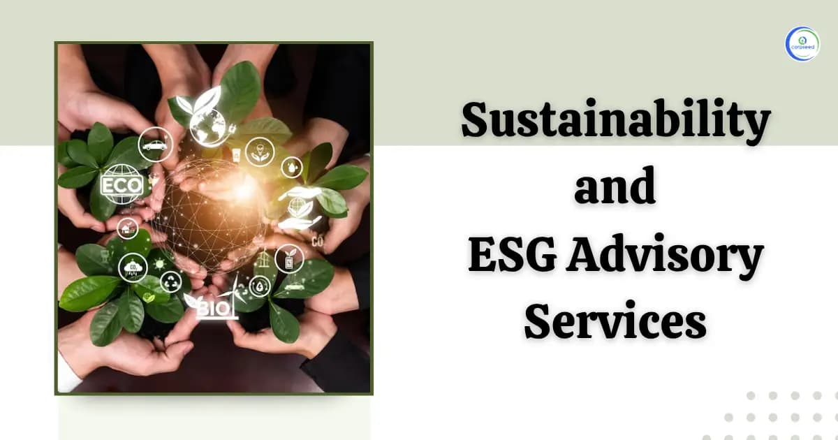 Sustainability & ESG Advisory Services