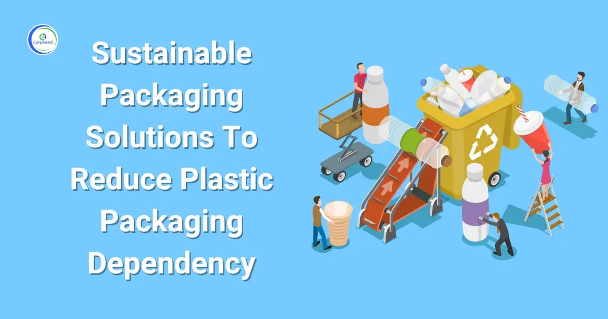 Sustainable Packaging Solutions To Reduce Plastic Packaging Dependency