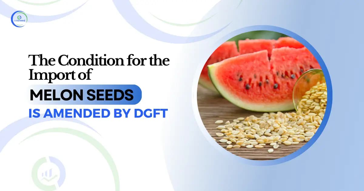 The Condition for the Import of Melon Seeds is Amended by DGFT