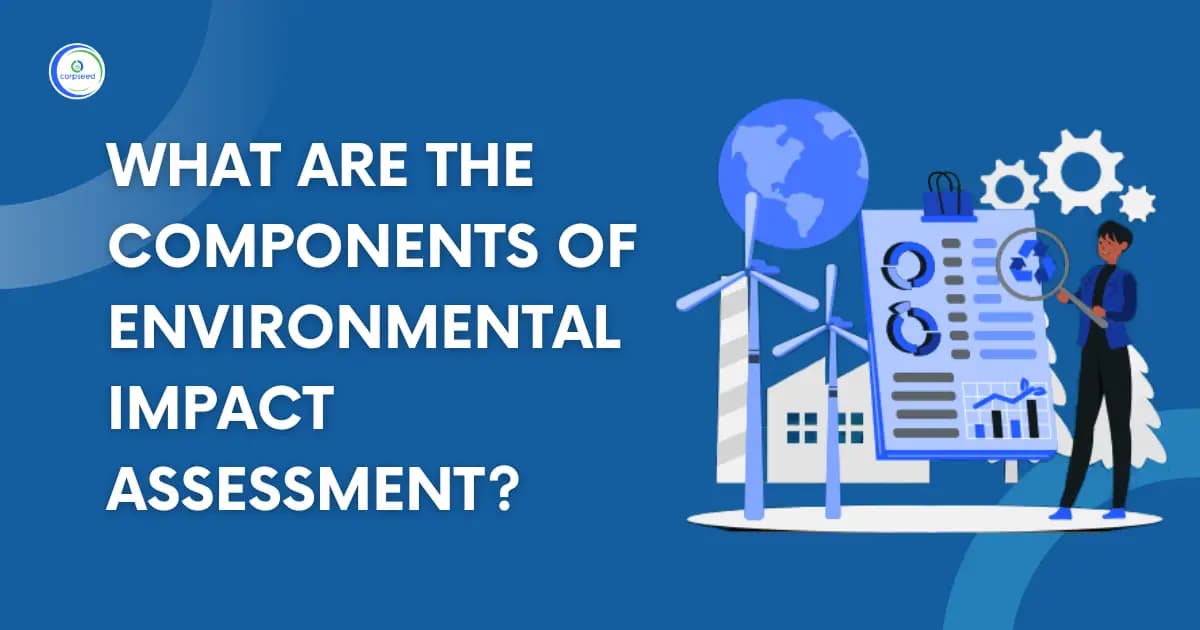 What Are The Components Of Environmental Impact Assessment?