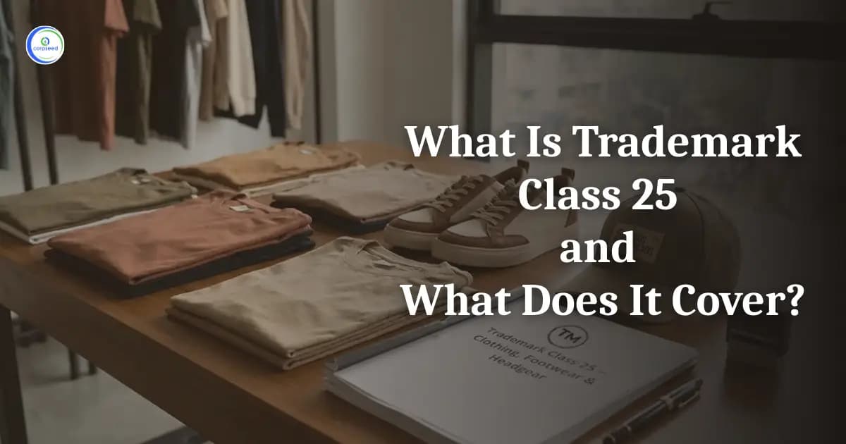 What Is Trademark Class 25 and What Does It Cover?