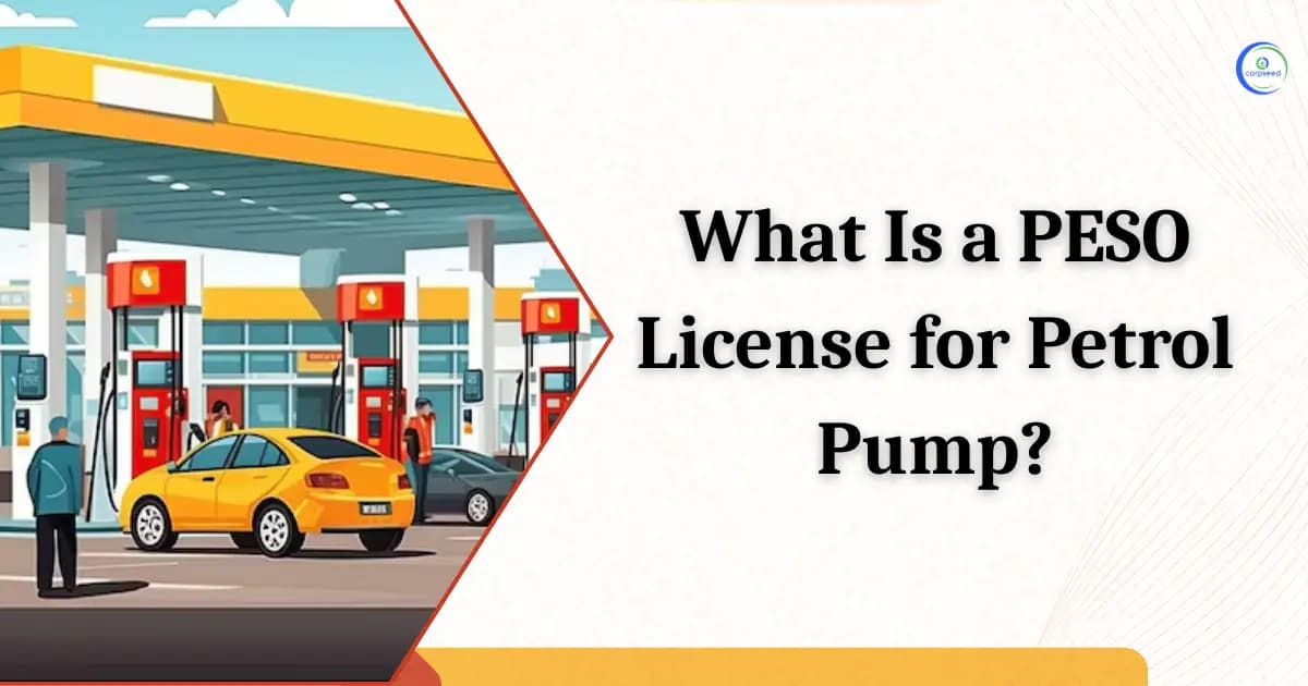What Is a PESO License for a Petrol Pump?
