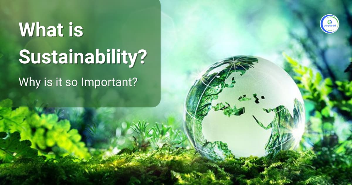 What is Sustainability? (And Why is it so Important)