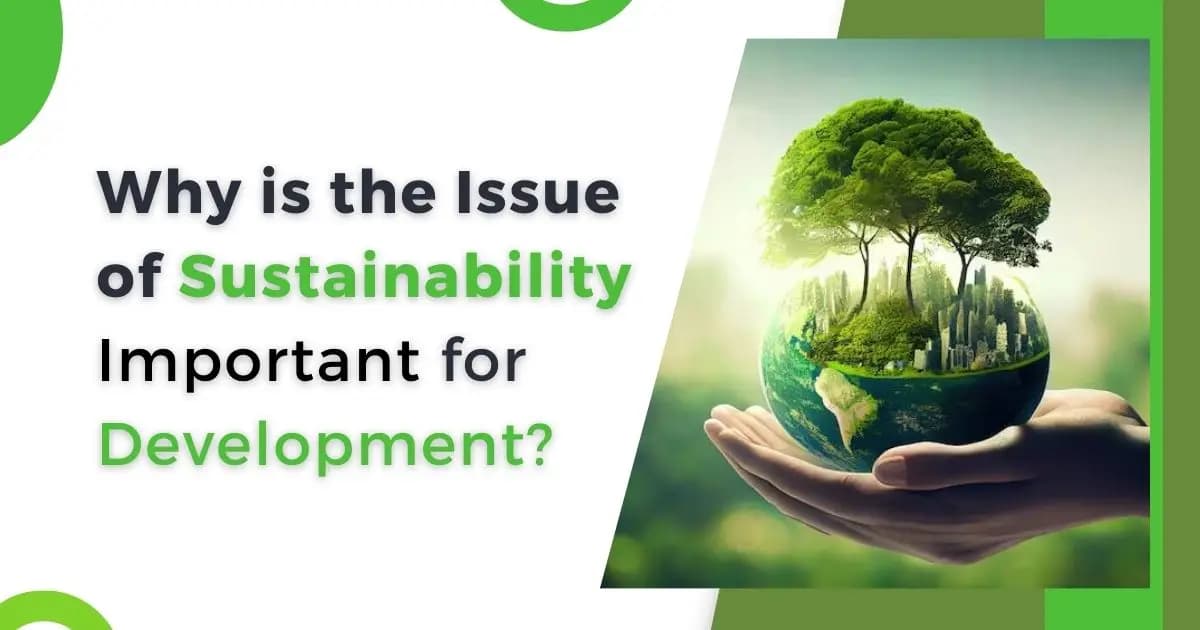 Why is the Issue of Sustainability Important for Development?