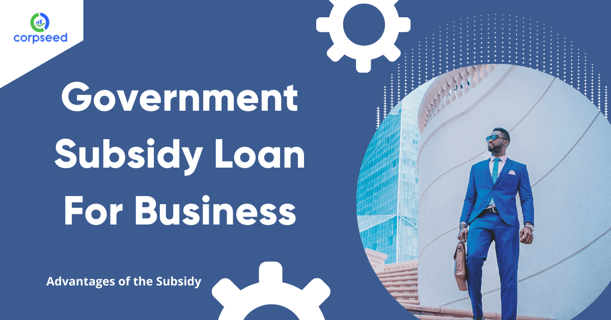 Government Subsidy Loan For Business