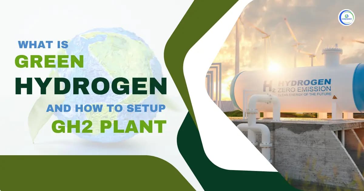 What Is Green Hydrogen And How To Set Up A Green Hydrogen Production Plant?